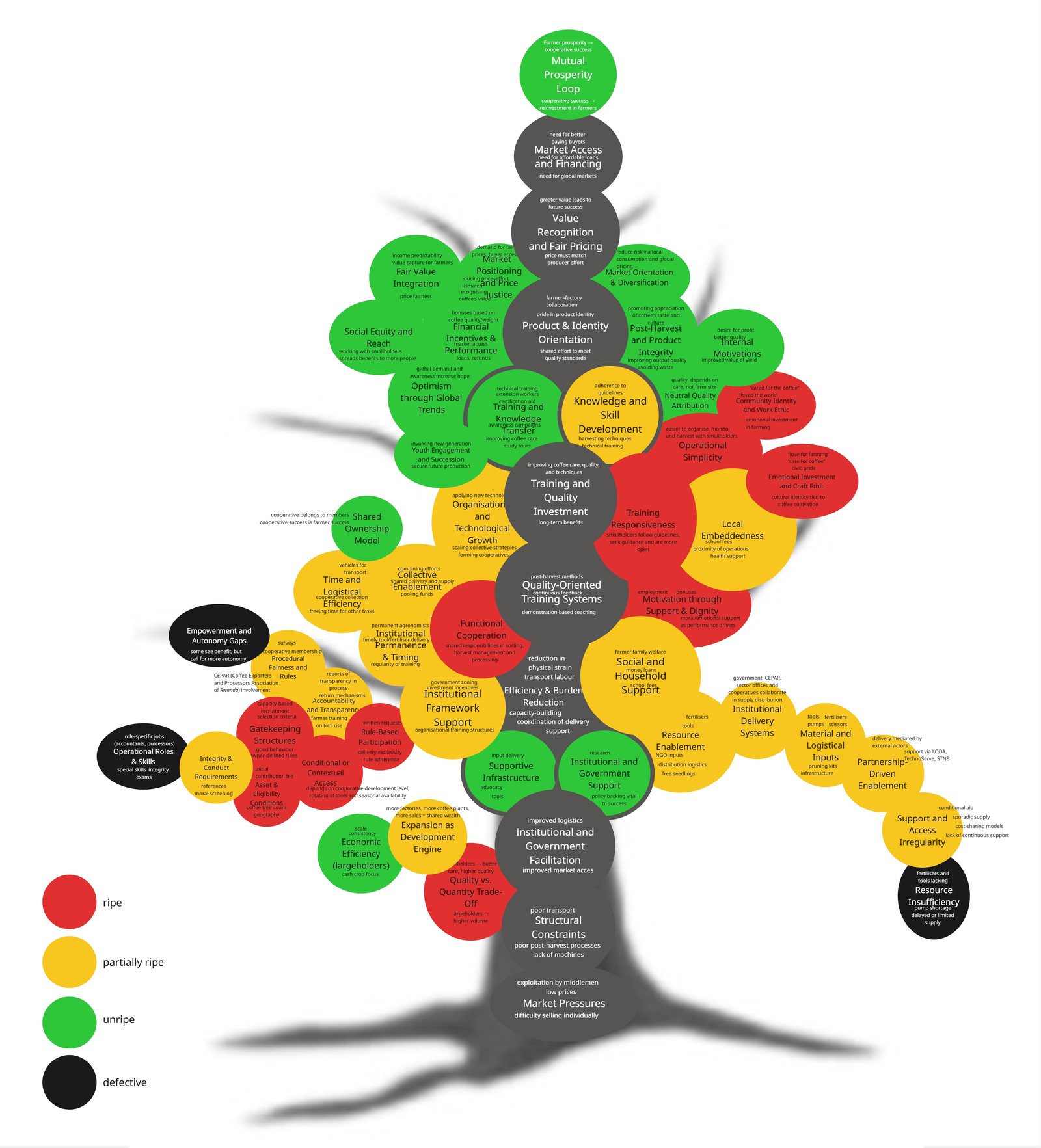The MTISV maturation tree applied to the Rwandan coffee sector: each concept shown as a fruit coloured by its stage of ripeness.